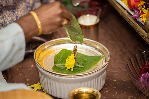 Sammy SN Pooja 0052